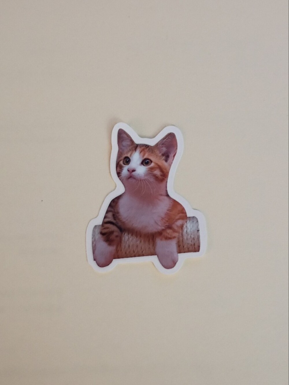 10/$10 Stickers Decal - Orange & White Striped Kitten On Scratch Post
